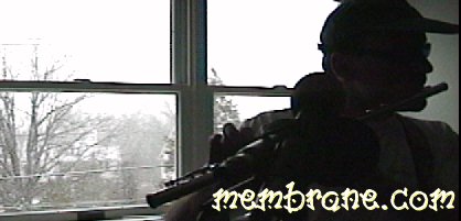 Metamorphosis Of Man To Music