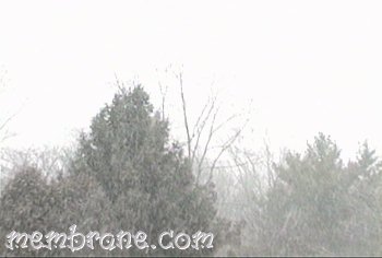Metamorphosis Of Water To Snow